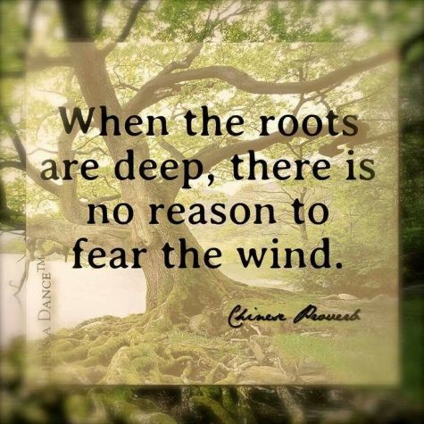 when-the-roots-are-deep